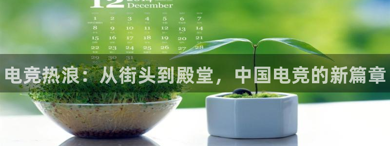 欧博娱乐游戏：电竞热浪：从街头到殿堂，中国电竞的新篇章