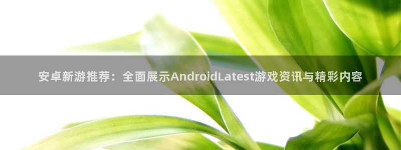 欧博娱乐娱乐:安卓新游推荐:全面展示AndroidLates