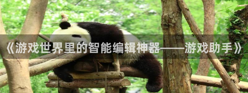 沐春欧博娱乐：《游戏世界里的智能编辑神器——游戏助手》