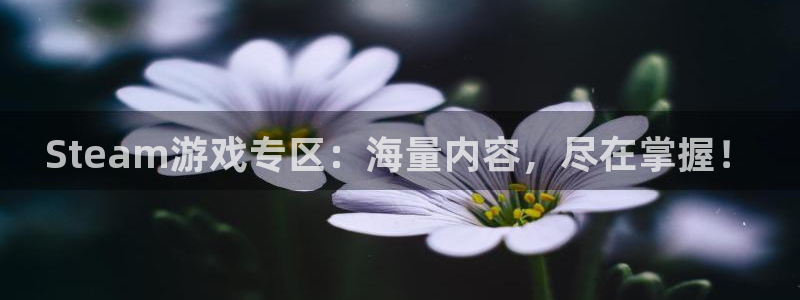 欧博娱乐平台官方网站：Steam游戏专区：海量内容，尽在掌握