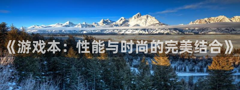 欧博娱乐官方平台：《游戏本：性能与时尚的完美结合》