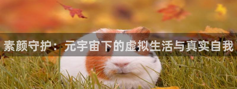 欧博娱乐Ii：素颜守护：元宇宙下的虚拟生活与真实自我