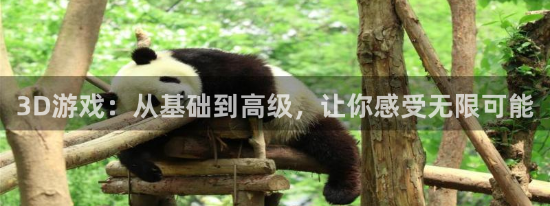 手机版欧博娱乐客户端下载：3D游戏：从基础到高级，让你感受无