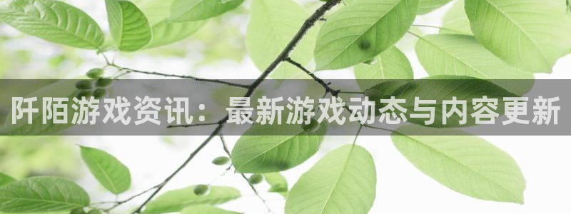 欧博娱乐什么意思：阡陌游戏资讯：最新游戏动态与内容更新