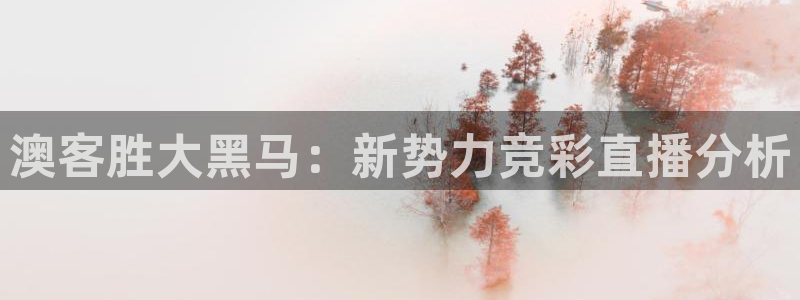 24直播网足球免费直播：澳客胜大黑马：新势力竞彩直播分析